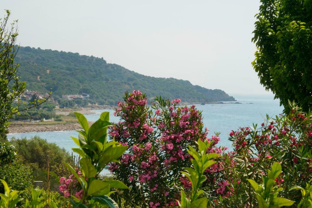 Secret Paradise Villas Loutra Elevtheron Экстерьер фото